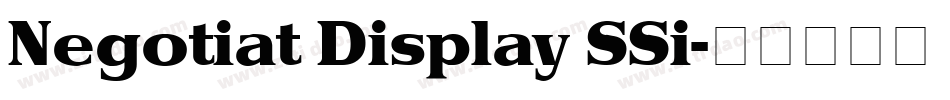Negotiat Display SSi字体转换